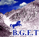B.G.E.T